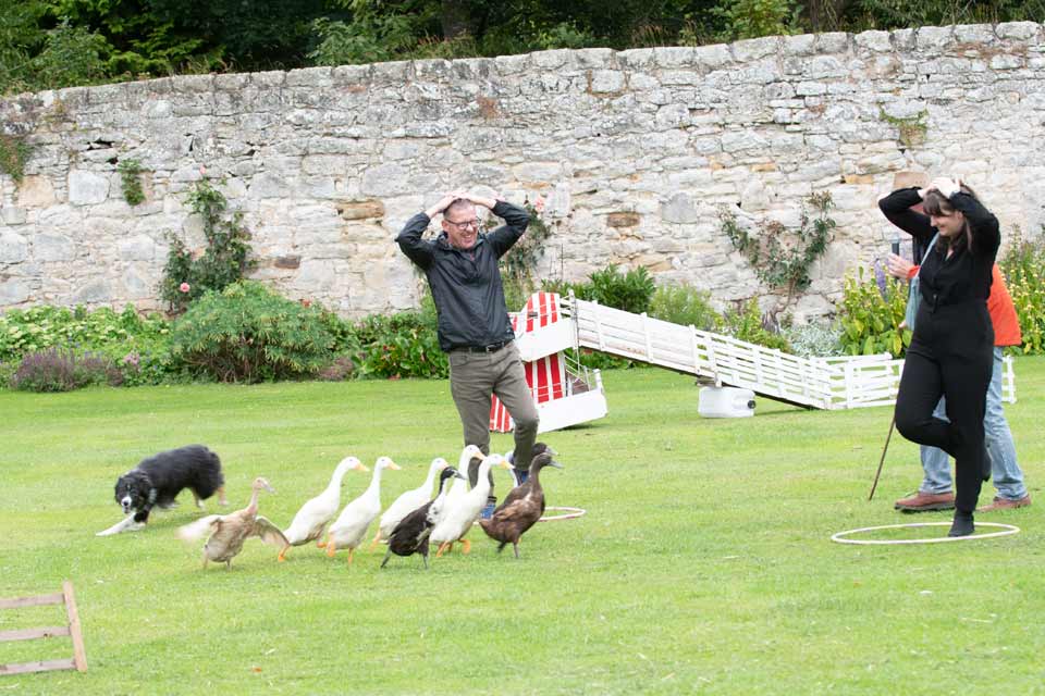 Dog-and-Duck-Herding-Winton-Castle-Activities