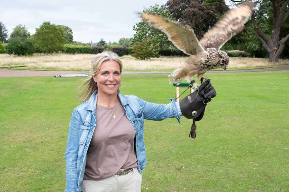 Falconry-at-Winton