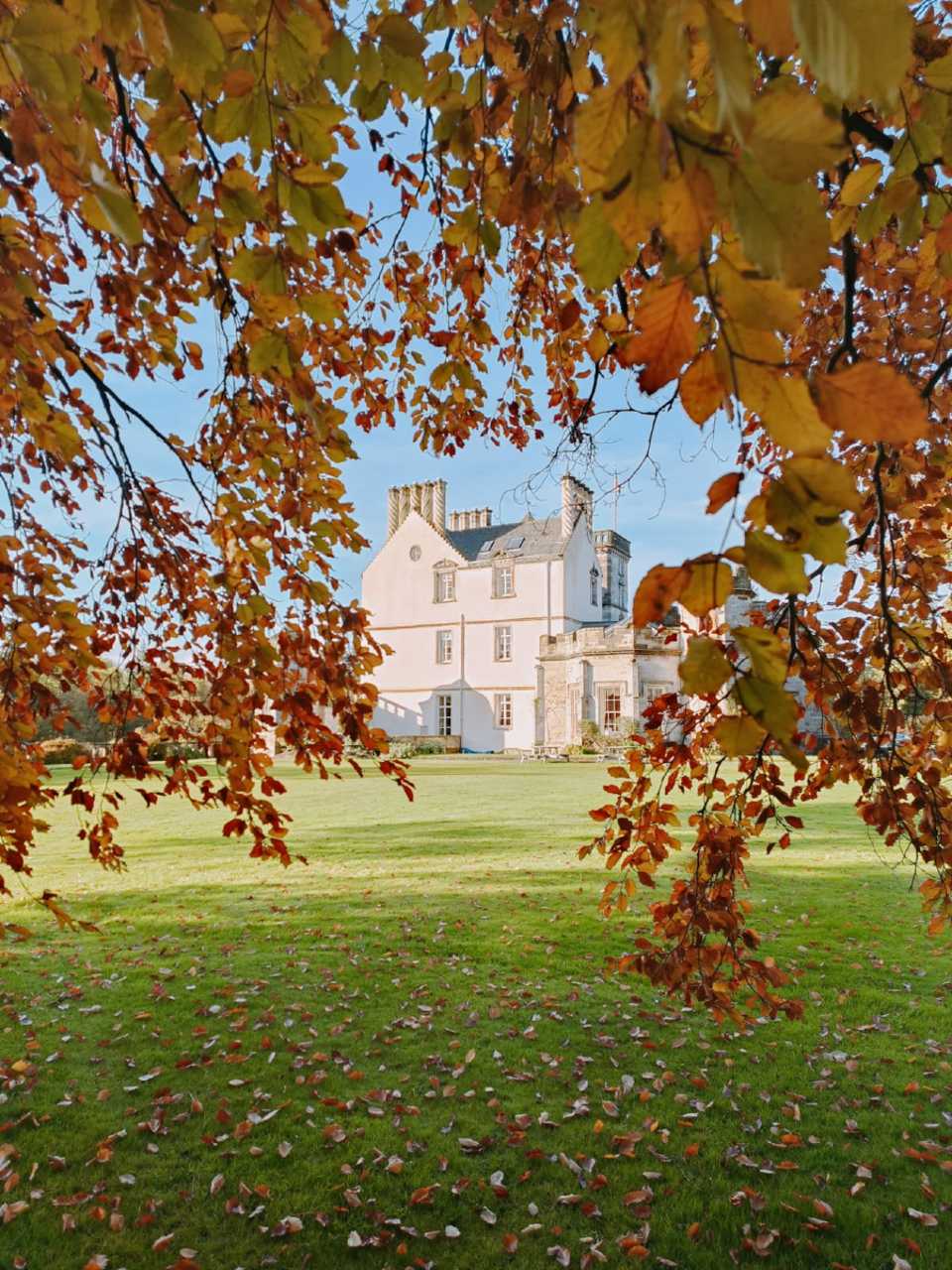 Winton Castle through Autumnal leaves